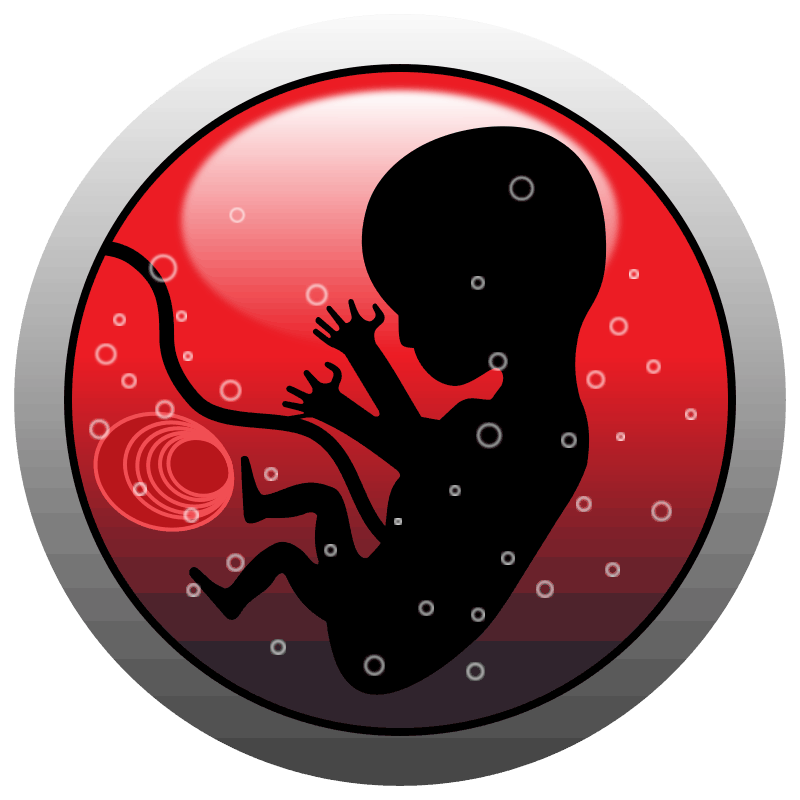 Human-embryo-silhouette-800px