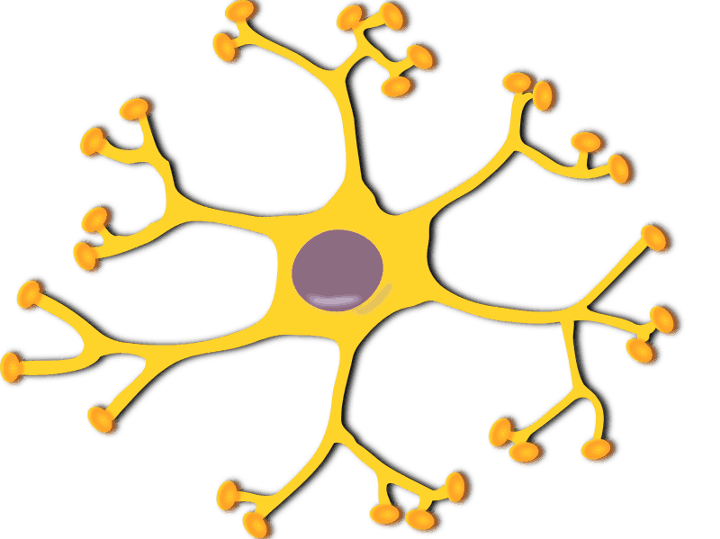 keikannui-neuron-interneuron-2-800px